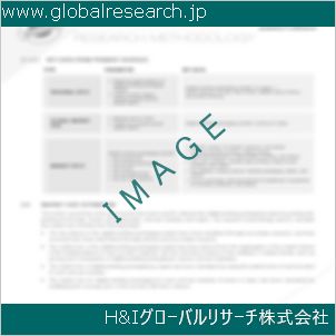 グローバルリサーチ調査資料のイメージ
